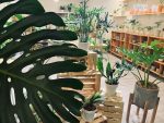 原植門市內部的植物盆栽